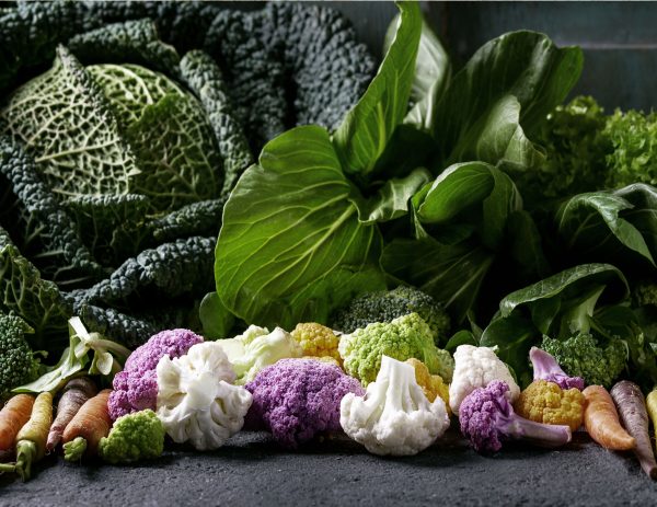 Monteverde’s Product: Fresh Vegetables